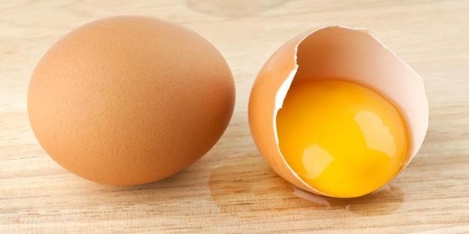 Image result for telur